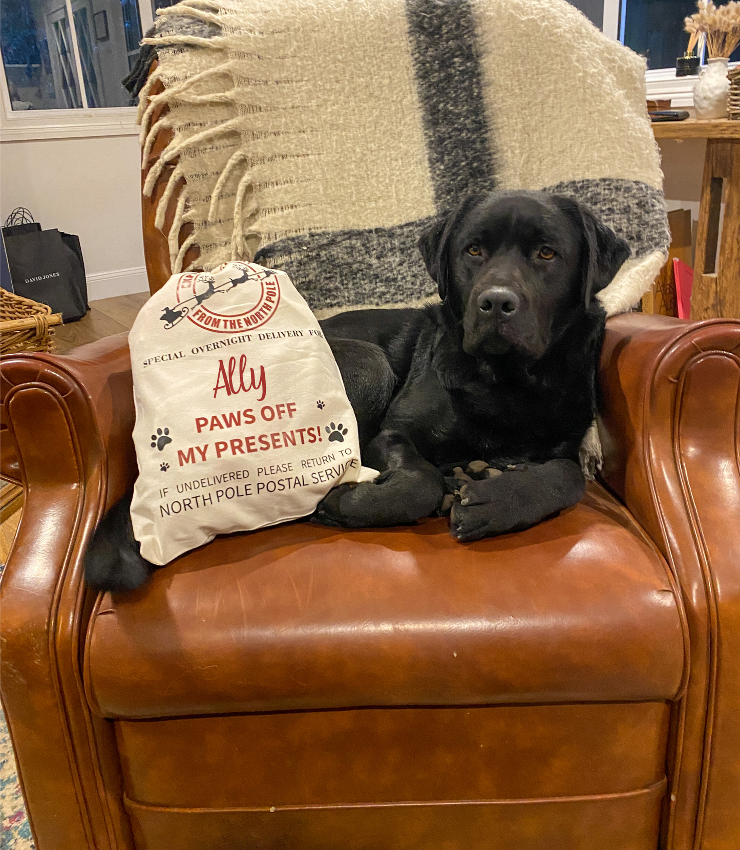 Personalised Pet Santa Sack